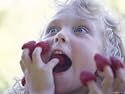 Girl Eating Raspberries, Bellingham, Washington, USA Photographic Poster Print by Steve Satushek, 12x9