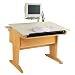 Shain CDTC -+1M Desktop Computer Aided Design Drafting Table Flex Monitor Arm: Included