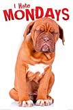 Empire 409249 Hunde - Ich hasse Montage Poster - 61 x 91.5 cm