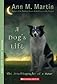 A Dog's Life