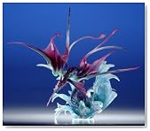 FINALFANTASY �}�X�^�[�N���[�`���[�Y �����@�C�A�T���̃C���[�W���g�傷��