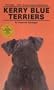 Kerry Blue Terriers