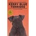 Kerry Blue Terriers