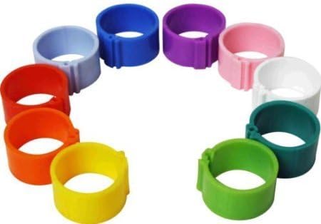 100 Poultry Leg Rings, 8mm Clip, to fit chicks, pigeons, tiny bantams (Lime G...