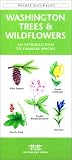 Washington Trees & Wildflowers (Pocket Naturalist - Waterford Press)