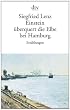 Einstein �berquert die Elbe bei Hamburg
