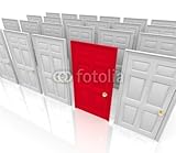 IMAGE OF Wallmonkeys Peel and Stick Wall Decals - Many Doors - Which to Choose - 48