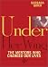 Under Her Wing: Women Talk About the Mentors Who Have Changed Their Lives (Women Talk about)