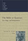 The Bible at Qumran: Text, Shape, and Interpretation (Studies in the Dead Sea Scrolls and Related Literature)