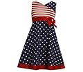 Bonnie Jean Girls Memorial Day 4th of July Flag Dress
