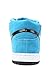 Nike Skateboarding Men's The Dunk Mid Pro SB