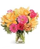 Splash of Color Bouquet