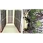 Hydroponic Vertical Plant Growing System