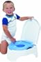 Summer Infant 11014 All in One Poty Trainer and Step Stool