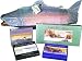 3 foot long *LIFESIZE* King Wild Alaskan Salmon Smoked Seafood Gift Basket