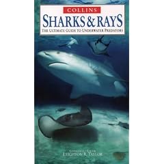 Ultimate Guides - Sharks and Rays: The Ultimate Guide to Underwater Predators (Nature Company Guides)