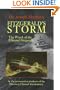 Fitzgerald's Storm: The Wreck of the Edmund Fitzgerald
