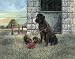 Playful Instincts Finest LAMINATED Print Ruane Manning 10x8