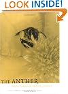 The Anther: Form, Function and Phylogeny