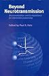 Beyond Neurotransmission: Neuromodulation and Its Importance for Information Processing