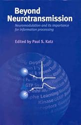 Beyond Neurotransmission: Neuromodulation and Its Importance for Information Processing