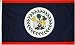 Belize National Country Flag - 3 foot by 5 foot Polyester (New)