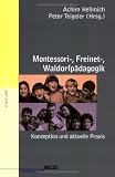 Montessori-, Freinet-, Waldorfp&auml;dagogik - Achim Hellmich, Peter Teigeler