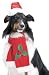 Santa Dog Hat & Scarf Small