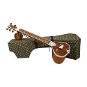 Sitar, Standard, Light, Wood Case,Pratap