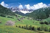 �p�Y���̒��B�l 2016�s�[�X �Y��Ȃ� �h���~�e 23-543