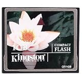 Kingston CF/1GBFE 1GB CompactFlash Memory Card