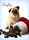 Avanti Christmas Cards, Naughty Pug, 10 Count