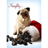 Avanti Christmas Cards, Naughty Pug, 10 Count