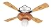 Hunter Fan Company