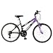 Mantis Raptor Girls' 24- Inch Bike, Purple/Black