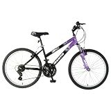 Mantis Raptor Girls' 24- Inch Bike, Purple/Black