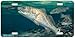 Seeing Red - Red Fish Art Print - License Plate by Randy McGovern from Airstrike, Inc...
