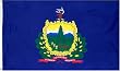Vermont US State Flag - 3 foot by 5 foot Polyester (NEW)
