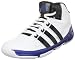 adidas Men's Daily Double Team Basketball Shoe