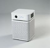 Austin Air Healthmate Jr. Air Purifier – White