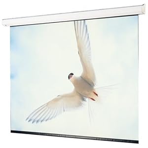 Sharp Draper 116301 106-Inch HDTV Projection Screen