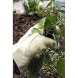 ATP Leather Gardening Gloves - Mens