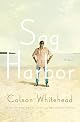 Sag Harbor: A Novel
