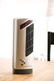 Oscillating Desktop Fan Silver