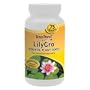 Tetra Pond Lily Gro Aquatic Plant Food, 75 Tablets