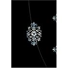 Paper Blanks Mirror Jewel: Lined, Mini Wrap (Jewelled Mini Wraps) by  Paperblank Book Company