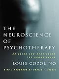 The Neuroscience of Psychotherapy: Healing the Social Brain (Norton Series on Interpersonal Neurobiology)