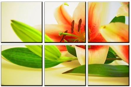 Canvas Prints , Framed and Ready to Hang , Modern Home and Office Interior Decor ,Flower Canvas Designs , 6 Panel Print ,White Lily Flower Print on Canvas , Wall Art