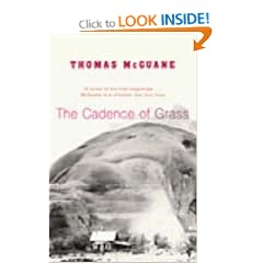 The Cadence of Grass