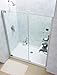 DreamLine SHDR-41477 Elegance 47? to 49? Inch Frameless Shower Door